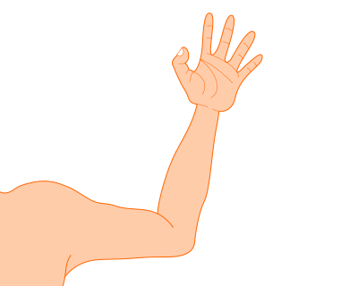 Arm clipart
