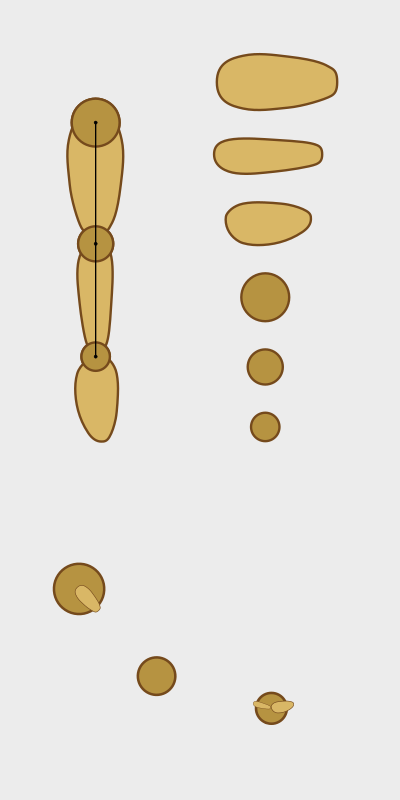 Arm 2 clipart
