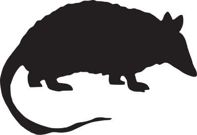 Armadillo clipart