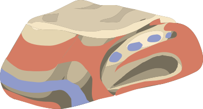 Artifact Nose Of China Piece2 clipart