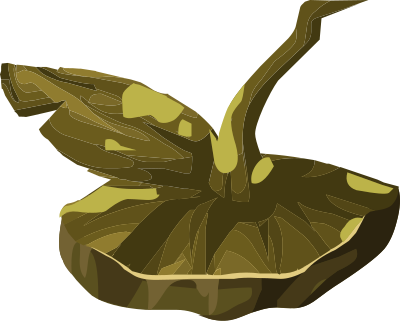 Artifact Wooden Apple Piece1 clipart