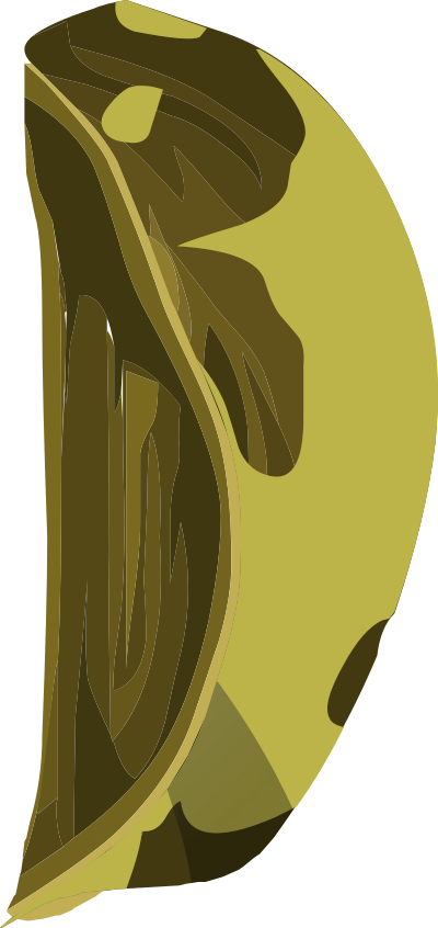 Artifact Wooden Apple Piece4 clipart
