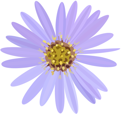 Aster clipart