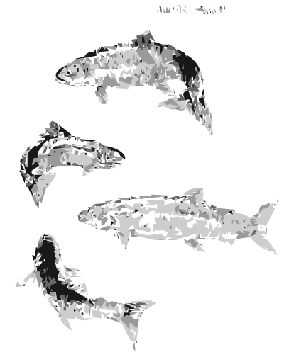 Atlantic Salmon (autotrace) clipart