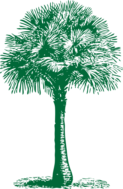 Australian Fan Palm clipart