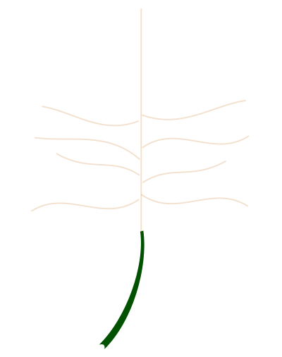 Autumn Leaf 2 clipart
