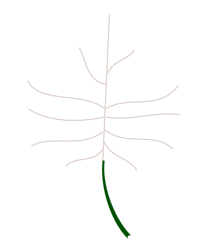 Autumn Leaf 3 clipart