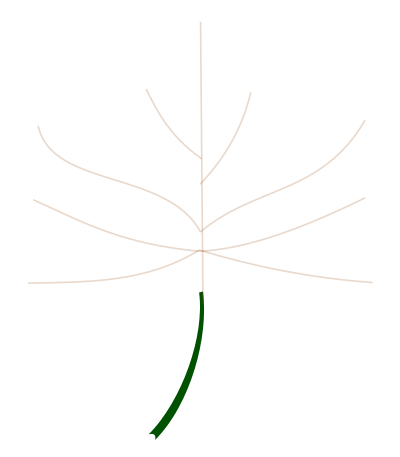 Autumn Leaf 4 clipart