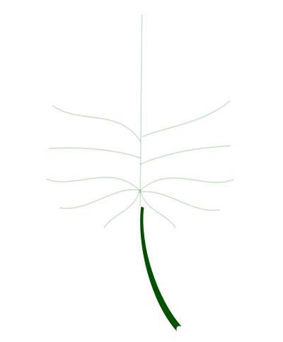 Autumn Leaf 6 clipart