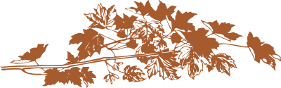 Autumn leaves clipart