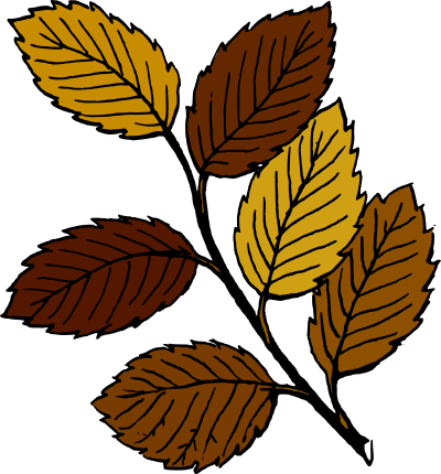 Autumn leaves on branch clipart