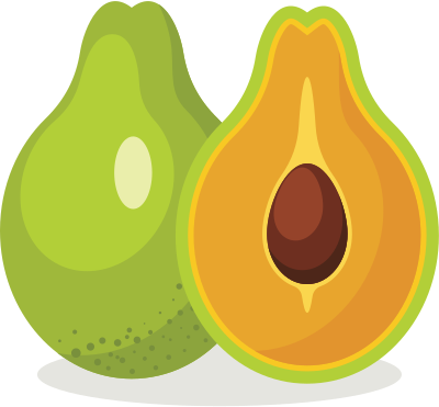 Avocado (#1) clipart