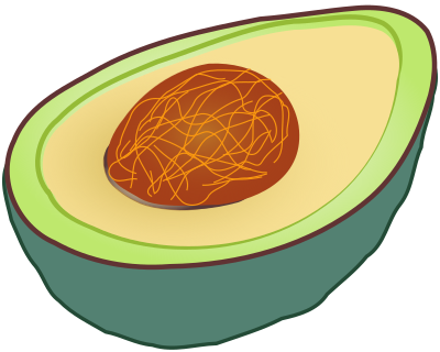 Avocado clipart