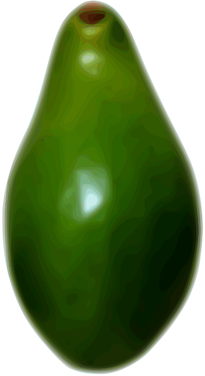 Avocado clipart