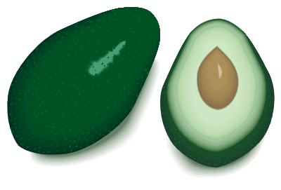 Avocado clipart