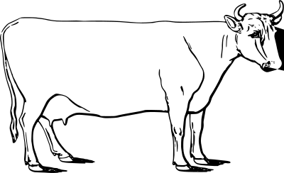 Ayrshire cow clipart