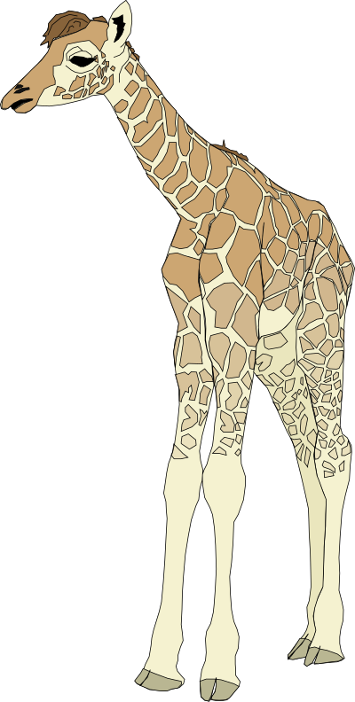 Baby Giraffe clipart