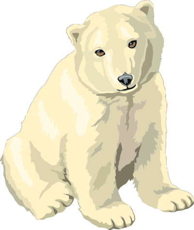 Baby polar bear cub clipart