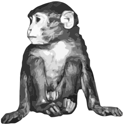 Baby rhesus monkey / macaque clipart