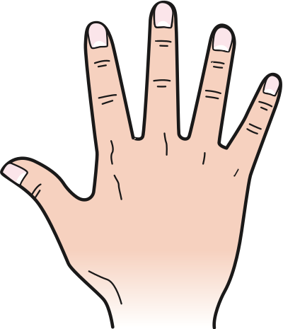 Back of hand clipart