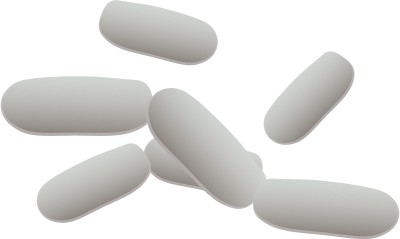 Bacteria clipart
