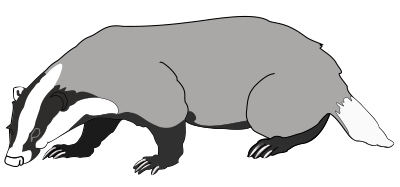 Badger clipart