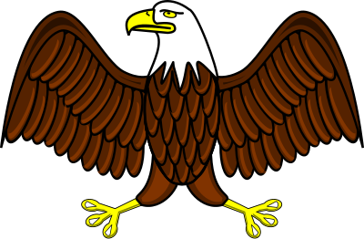 Bald Eagle clipart