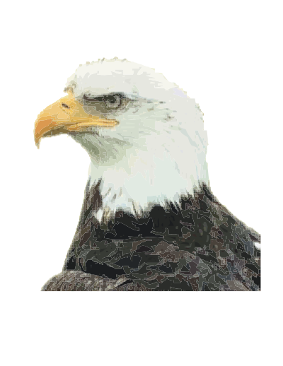 Bald eagle clipart
