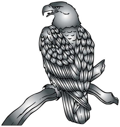 Bald Eagle Duochrome clipart