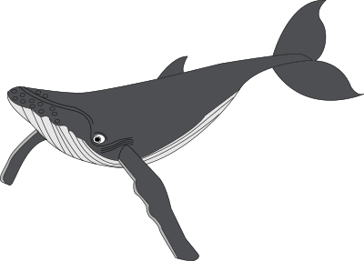 Baleine clipart