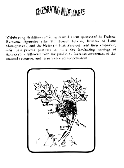 Ballhead Waterleaf Coloring Guide clipart