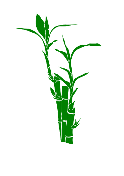 Bamboo clipart