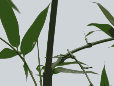 Bamboo clipart