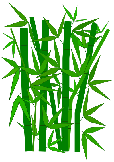 Bamboo graphic clipart