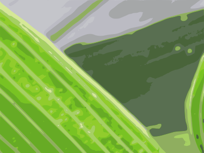 Bamboo leaf-Sasa clipart