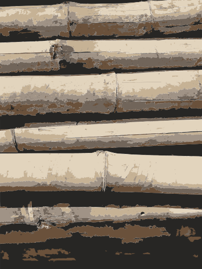 Bamboo Texture clipart