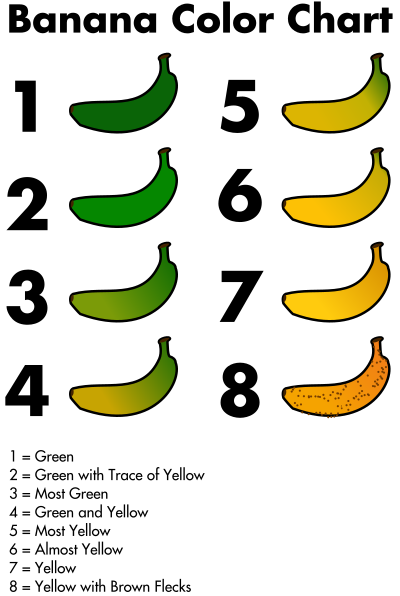 Banana Color Chart clipart