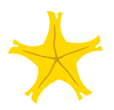 Banana Star clipart