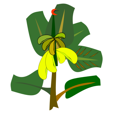 Bananas on the tree clipart