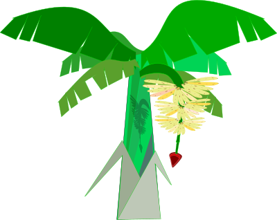 BANANEIRA clipart