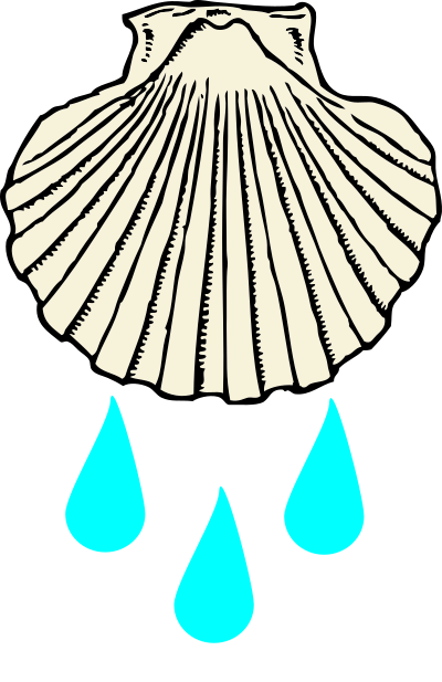 Baptism Shell clipart