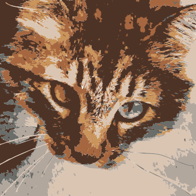 Barack the cat clipart
