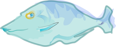 Barb'sFish clipart