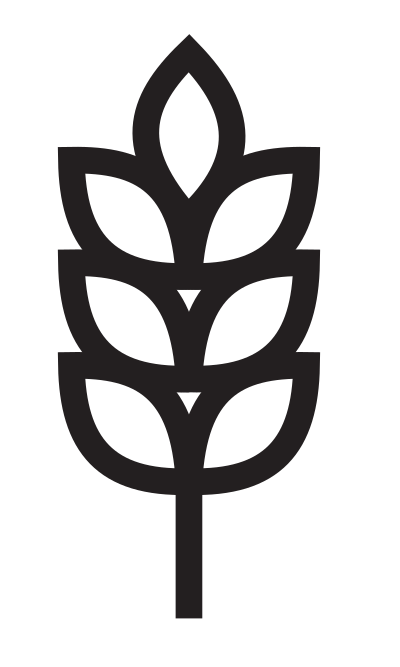 Barley clipart