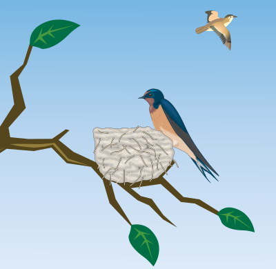 Barn Swallow clipart