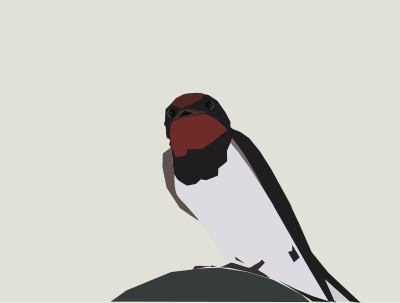 Barn swallow clipart