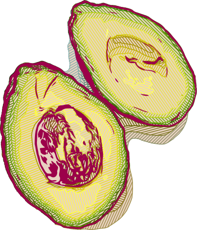 Basic Colour Avocado Sliced - Abstract Mix clipart