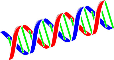 Basic DNA Chain clipart