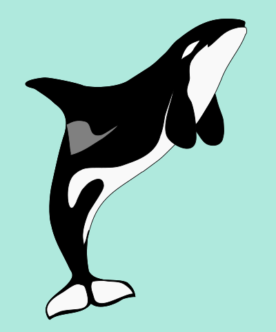 Basic Orca clipart