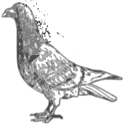 Basic Pigeon clipart